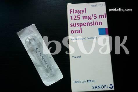 Guía Completa Sobre Flagyl En Medicina Veterinaria